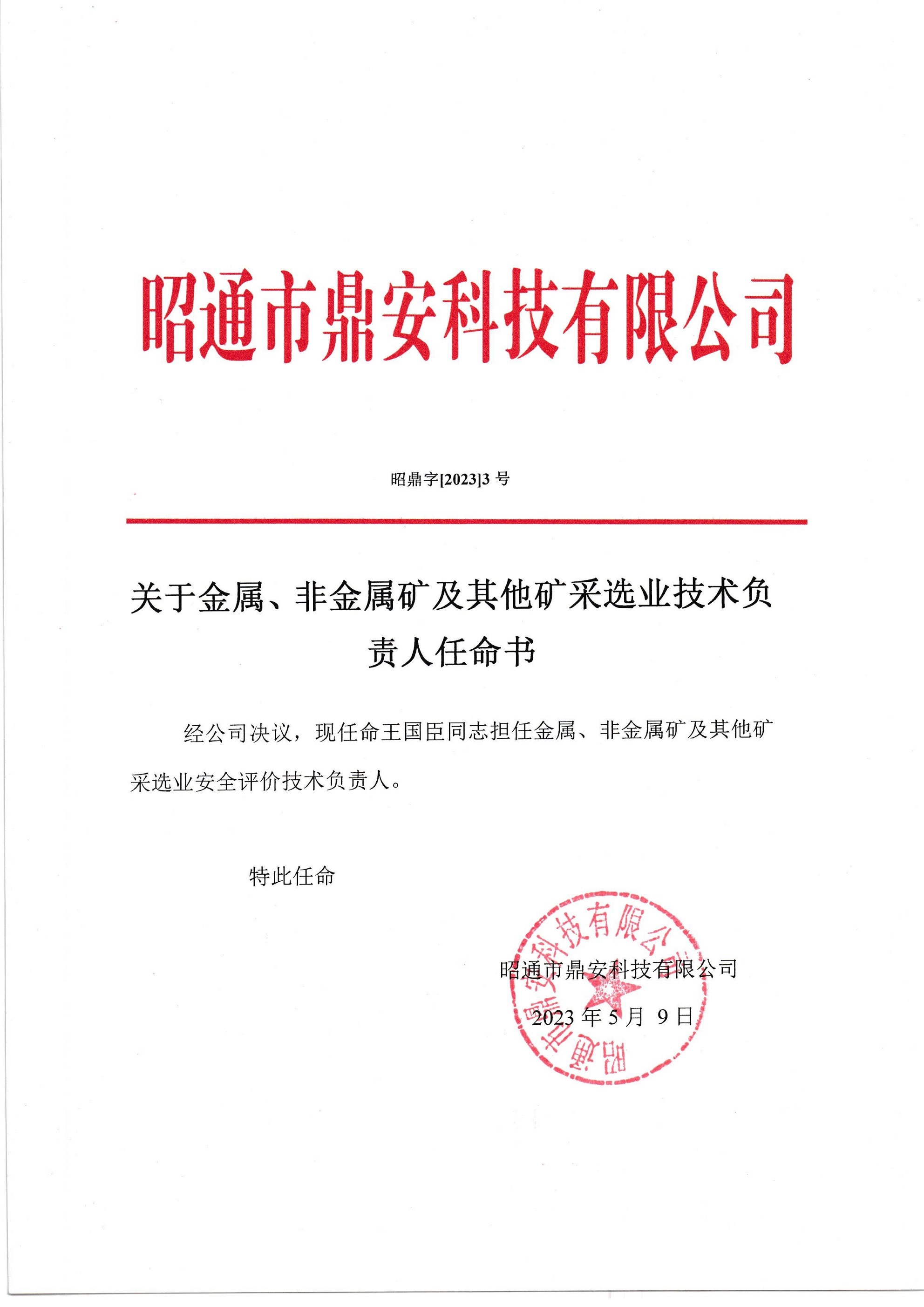 關(guān)于金屬、非金屬礦及其他礦采選業(yè)技術(shù)負責(zé)人任命書-王國臣_2.jpg